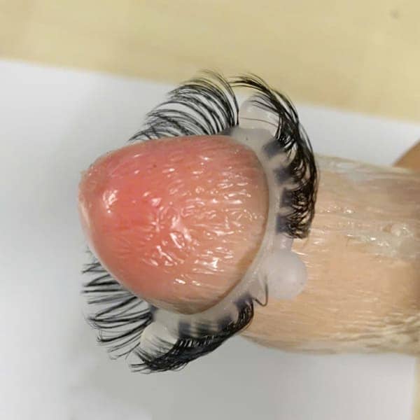 Vòng lông ngựa gắn bi đeo đầu dương vật - hình minh họa 4