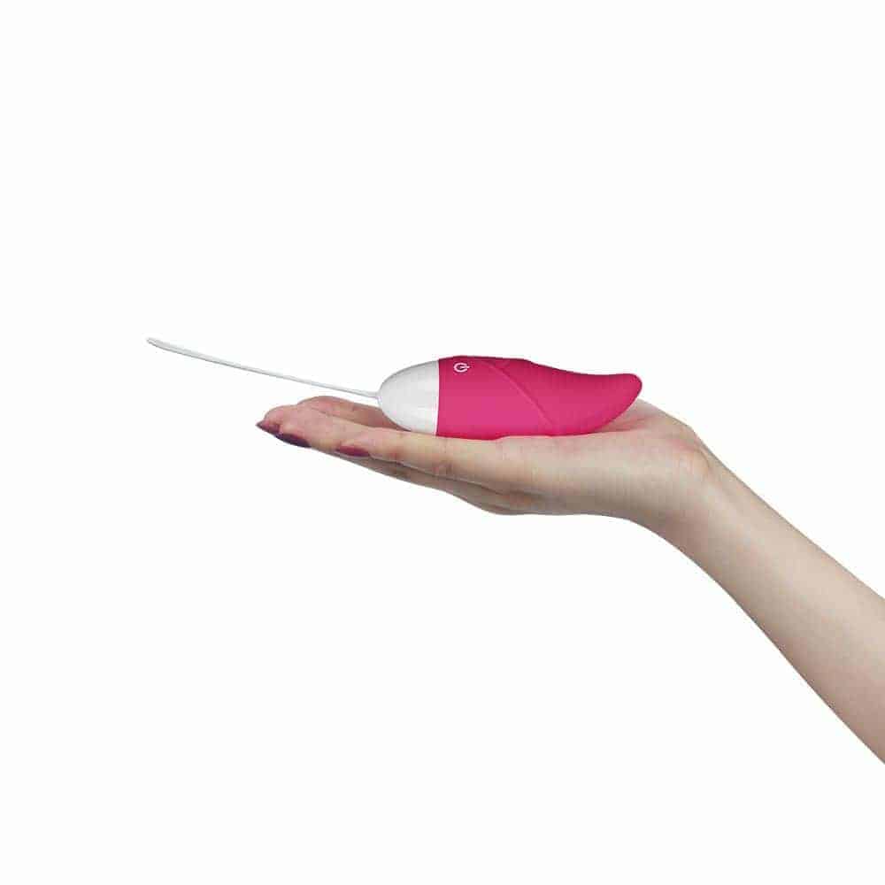 Trứng rung cao cấp điều khiển xa Lovetoy iJoy (EG27) - hình minh họa 2